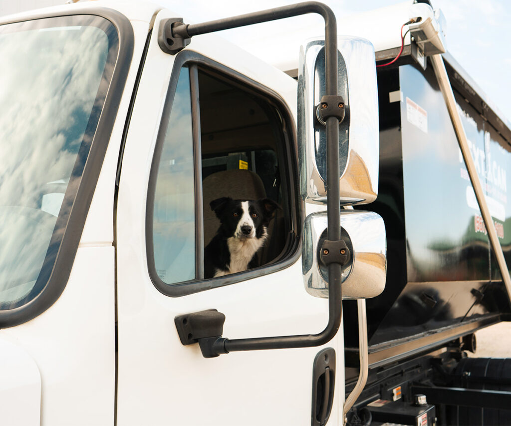 Black and white dog sitting inside a truck, looking out the open window.